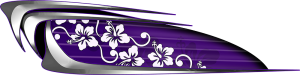 Custom Beach Croozer Purple Graphics