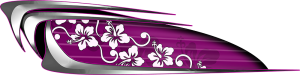 Custom Beach Croozer Pink Graphics