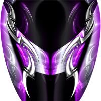 Custom Avalon Purple Graphics