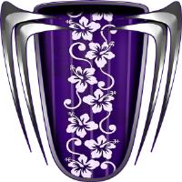 Custom Beach Croozer Purple Graphics