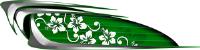 Custom Beach Croozer Green Graphics