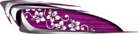 Custom Beach Croozer Pink Graphics