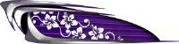 Custom Beach Croozer Purple Graphics