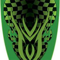 Custom Checkered Green Graphics