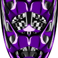 Custom Vandal Purple Graphics